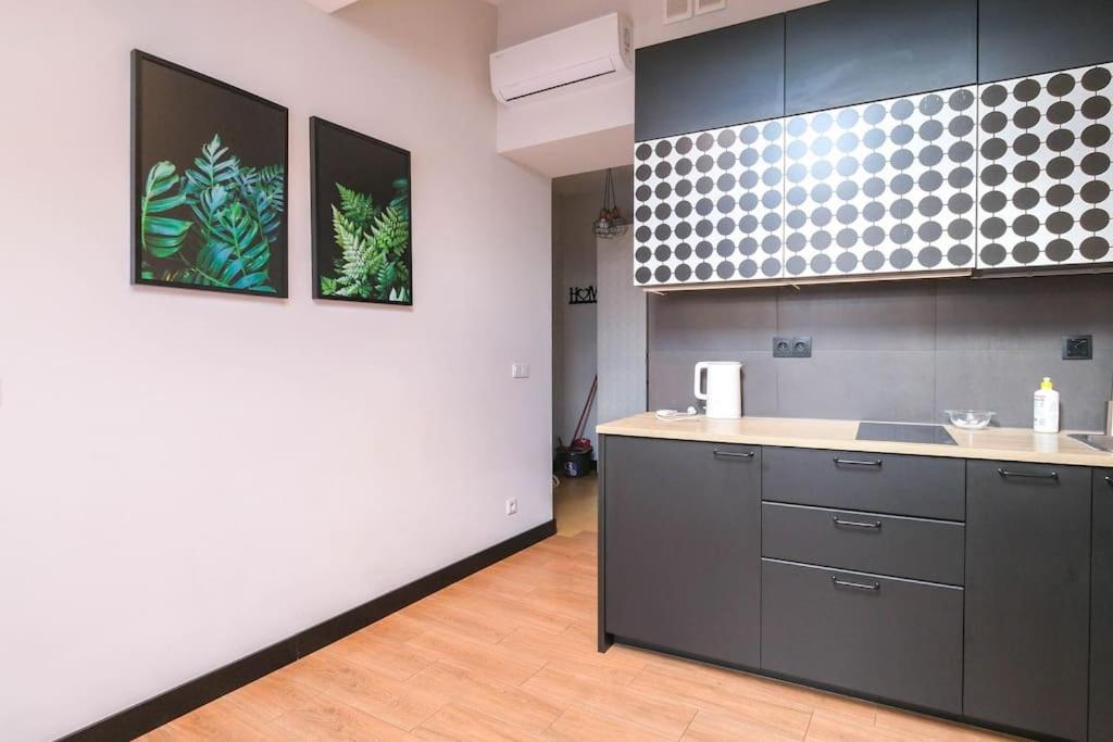 Strzelecka Old City Apartment 克拉科夫 外观 照片